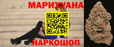 тгк Новоалександровск